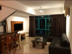 Celadon View (D17), Apartment #464434891